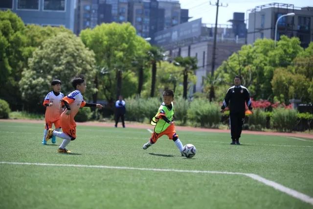 媒体人谈杨舒予热搜第1:体育饭圈化成行业现象